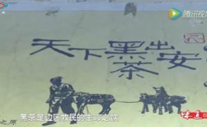 《茶道》——了解黑茶的种类