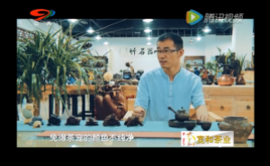 《茶道》——一起来学习鉴别茶宠的门道