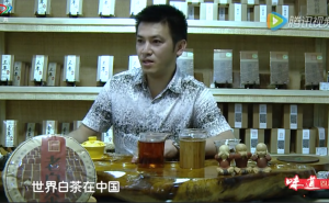 《茶道》——到四川的茶业市场探寻白茶