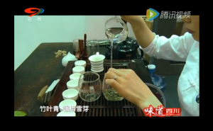 《茶道》——品一杯四川“白茶” 