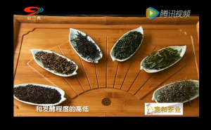 《茶道》——五彩缤纷的茶世界