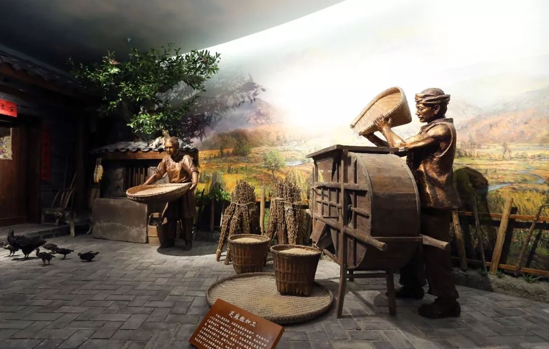 芝麻开门——中国芝麻油博物馆成都隆重开馆！ (图26)
