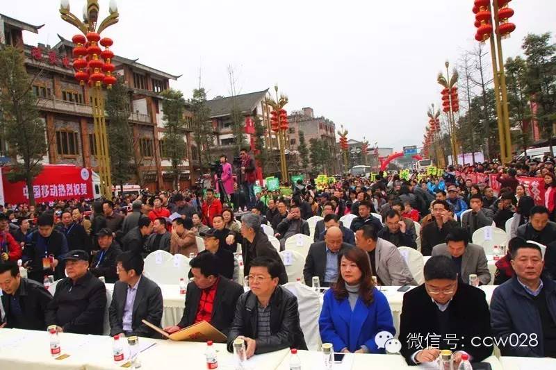 “以茶为媒 以节会友”蒙顶山茶文化旅游节昨日开幕 (图2)