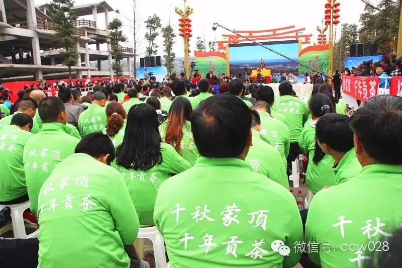 “以茶为媒 以节会友”蒙顶山茶文化旅游节昨日开幕 (图16)