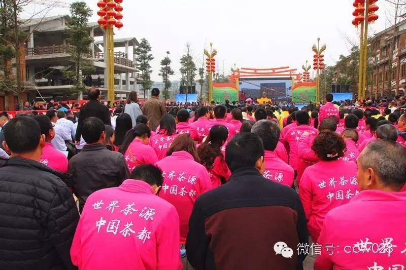 “以茶为媒 以节会友”蒙顶山茶文化旅游节昨日开幕 (图20)