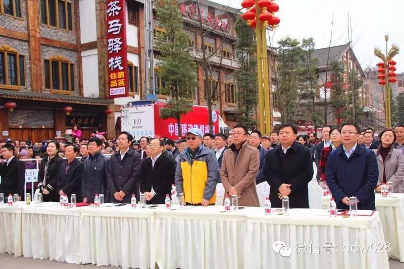 “以茶为媒 以节会友”蒙顶山茶文化旅游节昨日开幕 (图6)