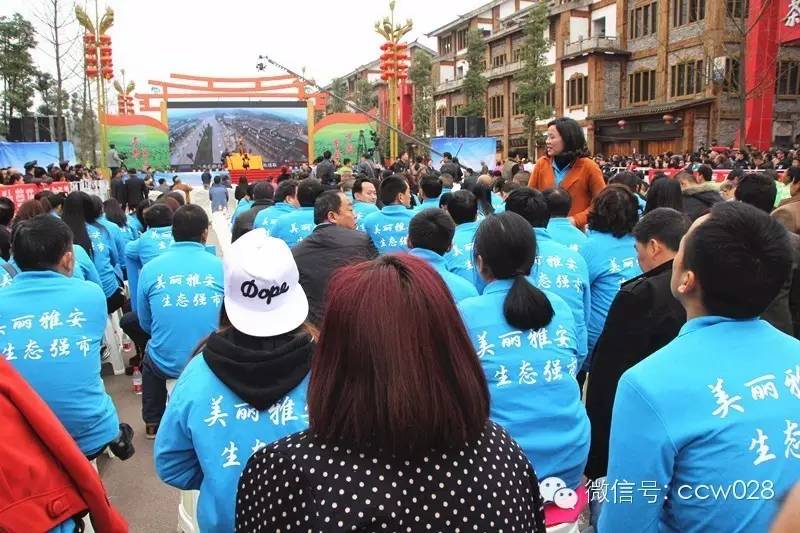 “以茶为媒 以节会友”蒙顶山茶文化旅游节昨日开幕 (图14)