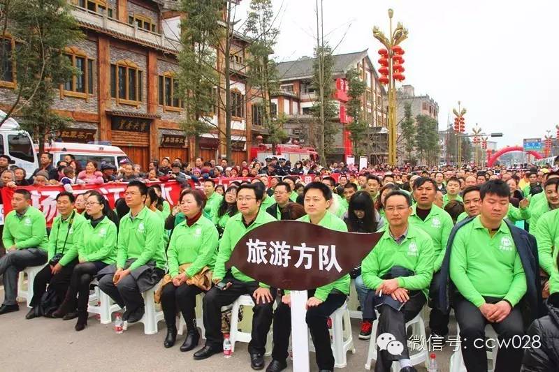 “以茶为媒 以节会友”蒙顶山茶文化旅游节昨日开幕 (图15)