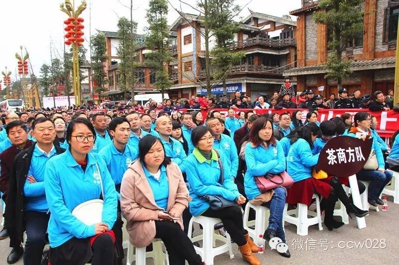 “以茶为媒 以节会友”蒙顶山茶文化旅游节昨日开幕 (图13)