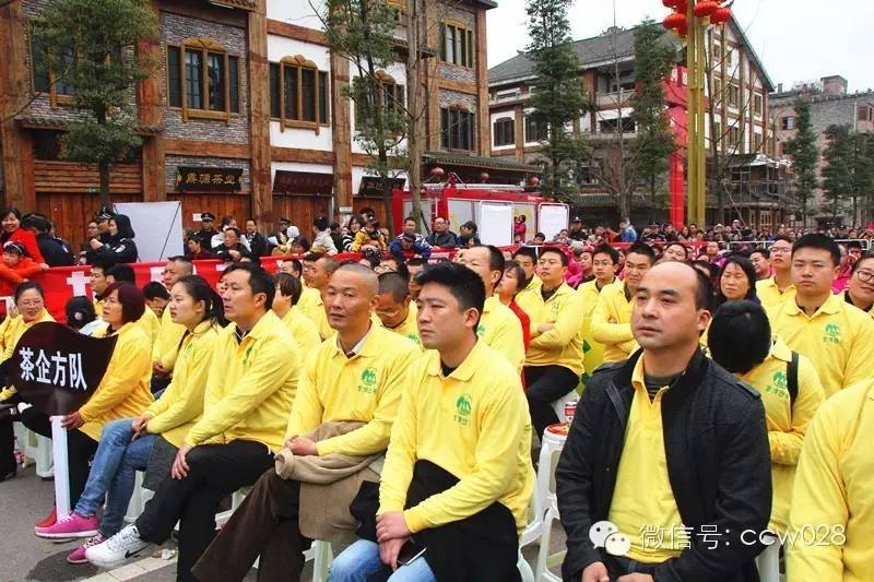 “以茶为媒 以节会友”蒙顶山茶文化旅游节昨日开幕 (图17)