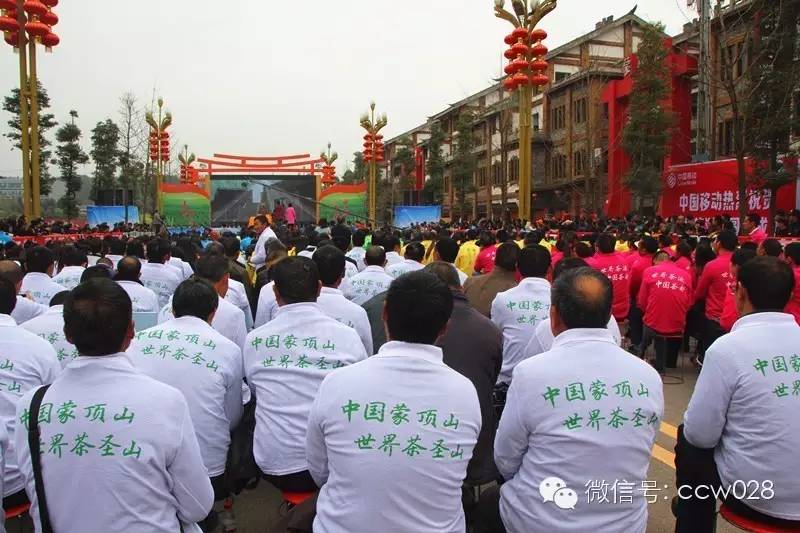 “以茶为媒 以节会友”蒙顶山茶文化旅游节昨日开幕 (图19)