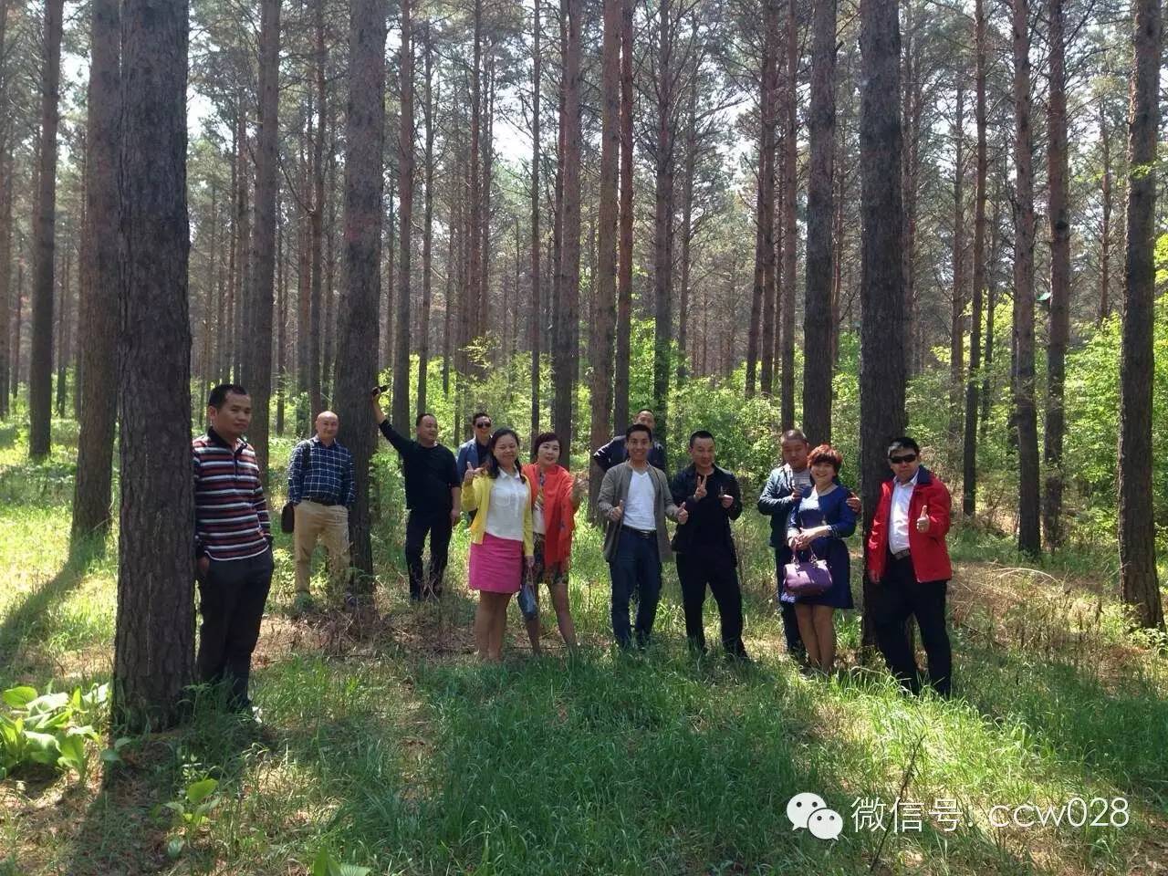 川味长春行记——净月区好山水(图6)