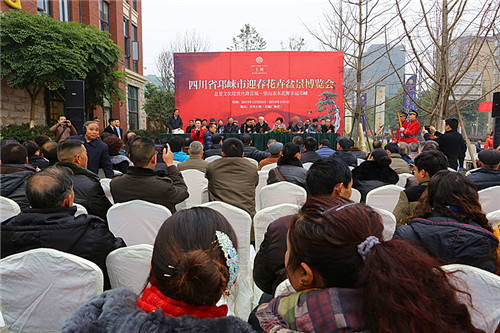 迎春花卉盆景博览会在邛崃开幕 (图3)