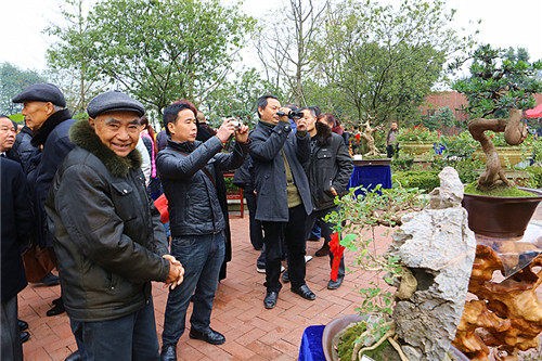 迎春花卉盆景博览会在邛崃开幕 (图6)