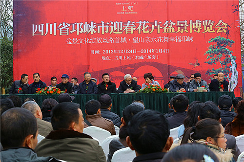迎春花卉盆景博览会在邛崃开幕 (图5)